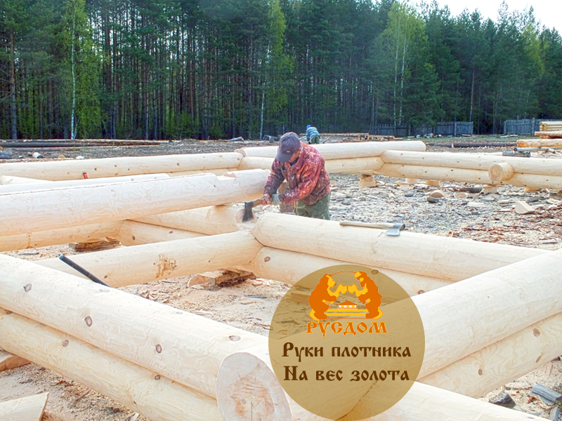 Руки плотника на вес золота