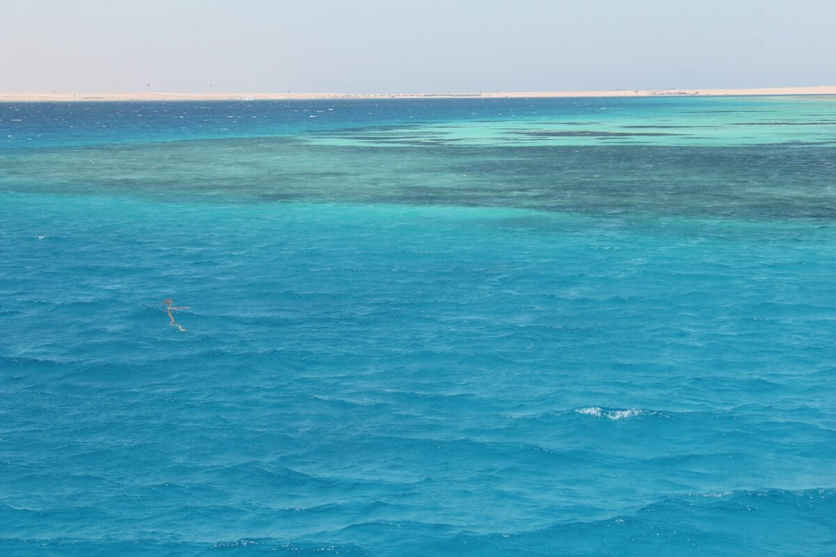 Красное море