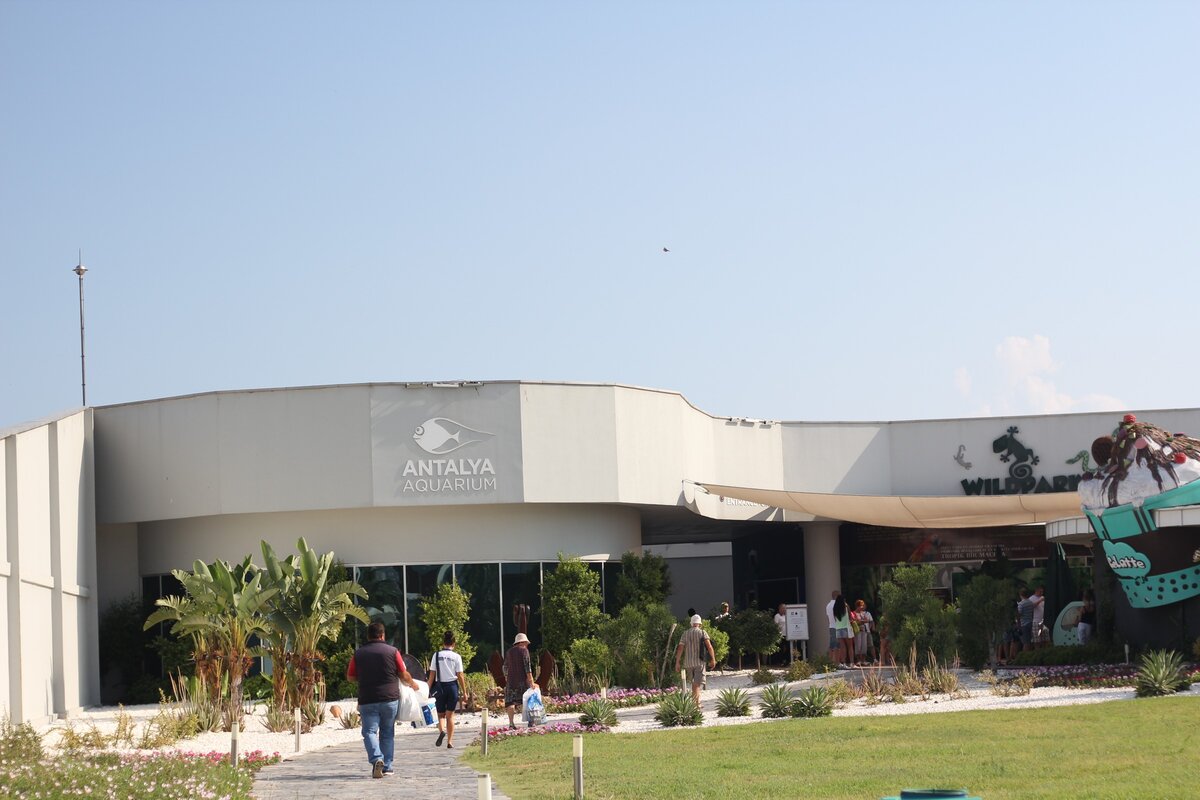 Аквариум Анталия 2016. Фото из личного архива.