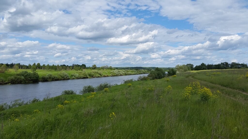 дер. Лужное Дзержинского района Калужской области