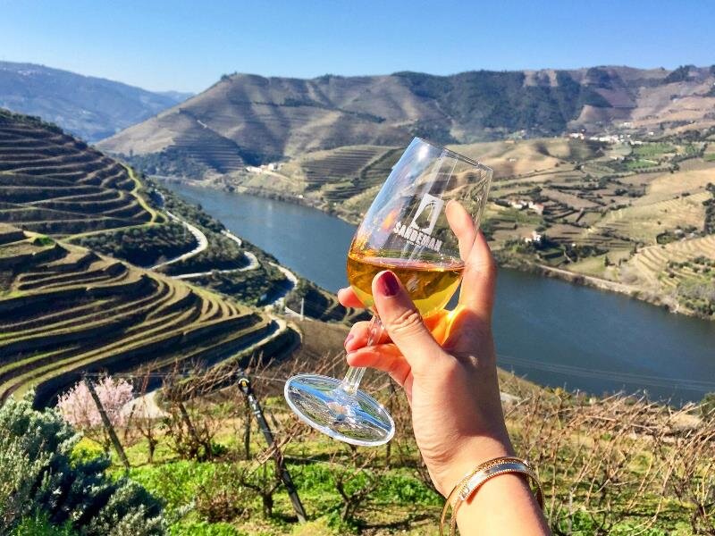 https://www.gotravelly.com/blog/wp-content/uploads/2019/04/wine-douro-valley-portugal.jpg