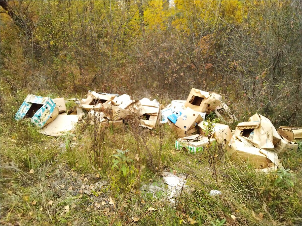 Через дорогу турбаза