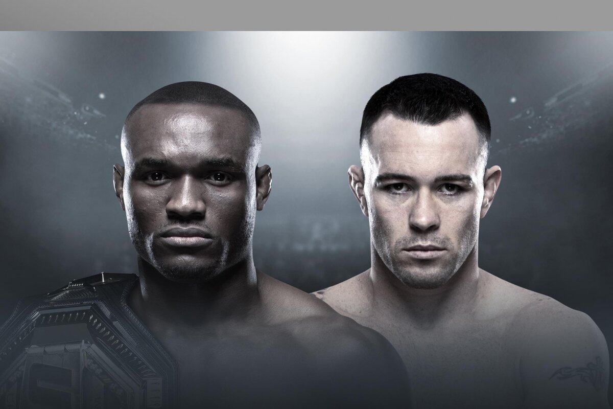 https://ufc.com/news/kamaru-usman-vs-colby-conigton-headline-ufc-245