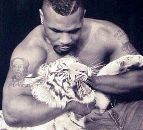 Фото взято на просторах интернета. Ссылки не нашел((