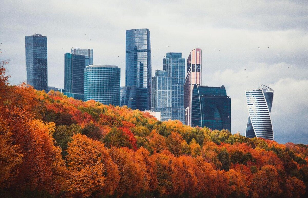 Moscow city university