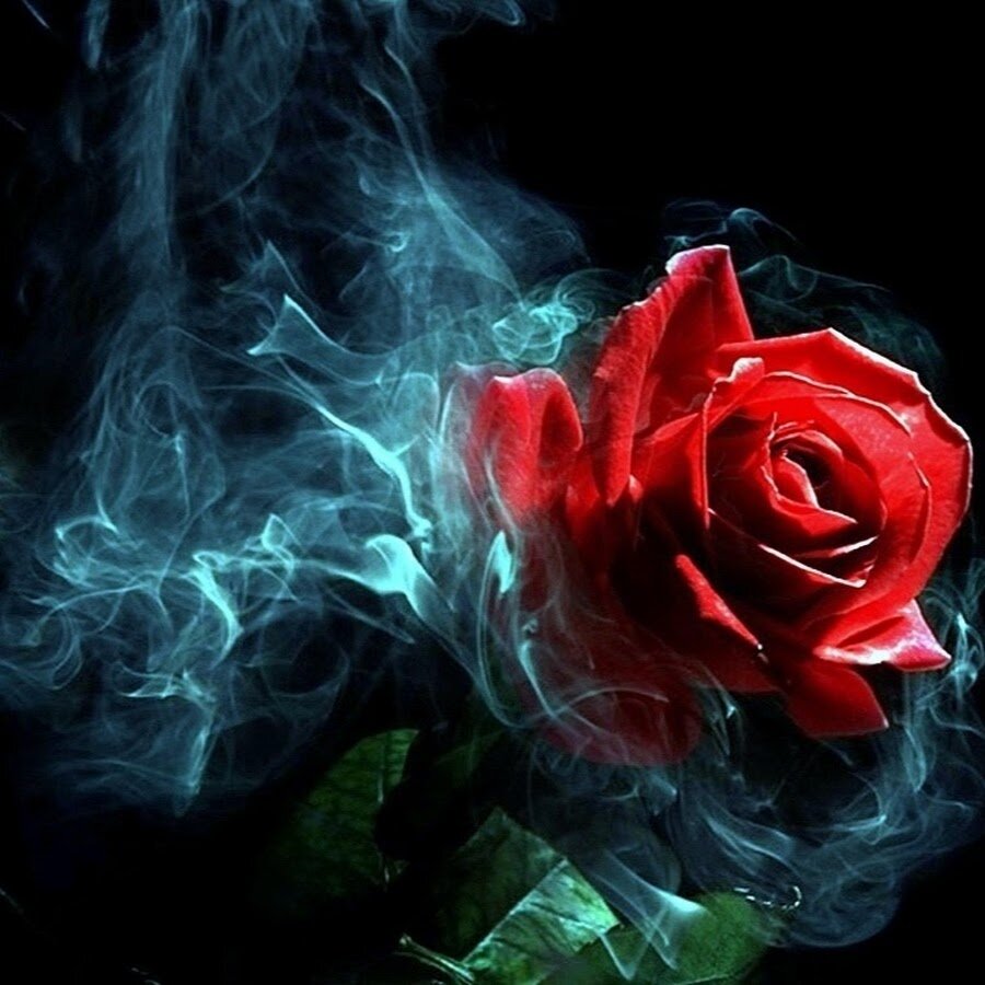 фото из интернета