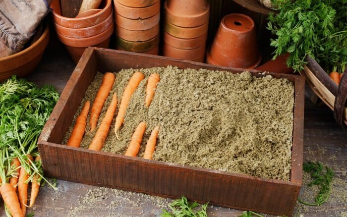 5 способов хранения моркови, которые работают безотказно и сохранят ее сочной и хрустящей до самой весны