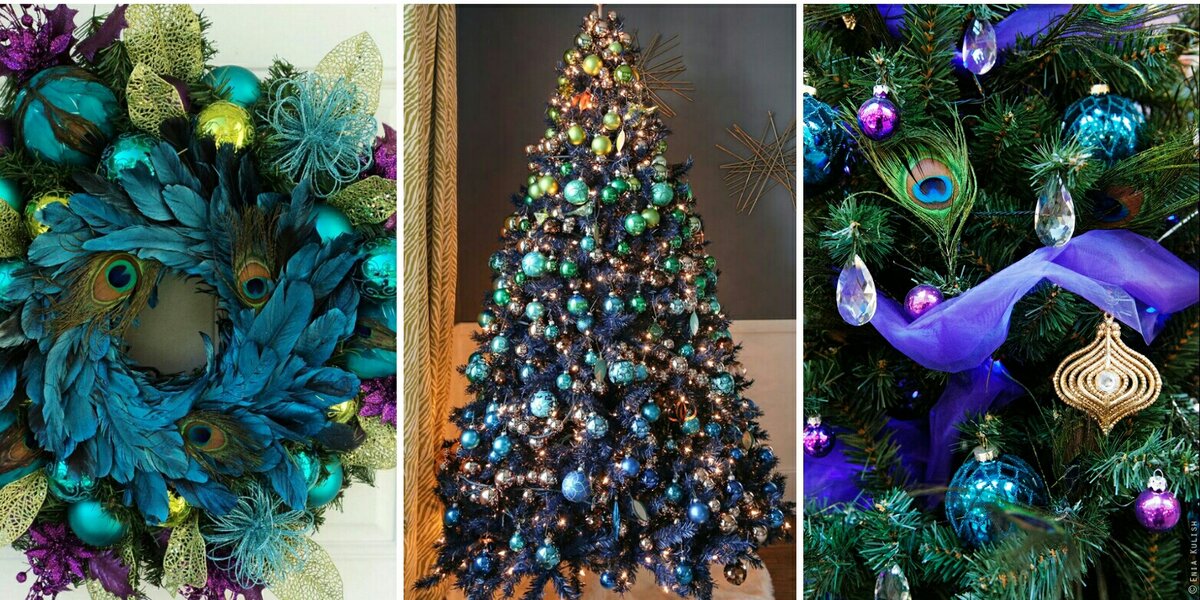 Фото из открытых источников, коллаж автора