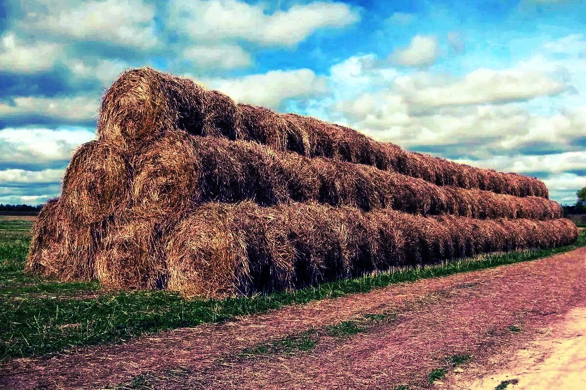 Современная инсталляция в москве как какашка. Как называется большая куча. Как называется большая куча. Гора мусора. Мы ехали ехали и наконец приехали.
