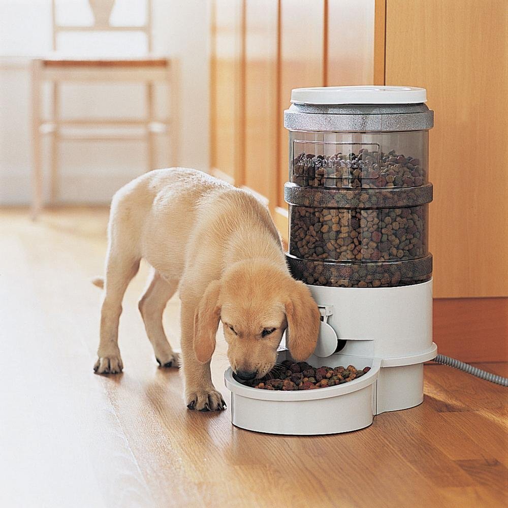 Self pet none позволяет. Automatic Pet Feeder. Автоматическая кормилка для собак больших. Автоматическая кормушка для собак. Кормушка для собак крупных пород.