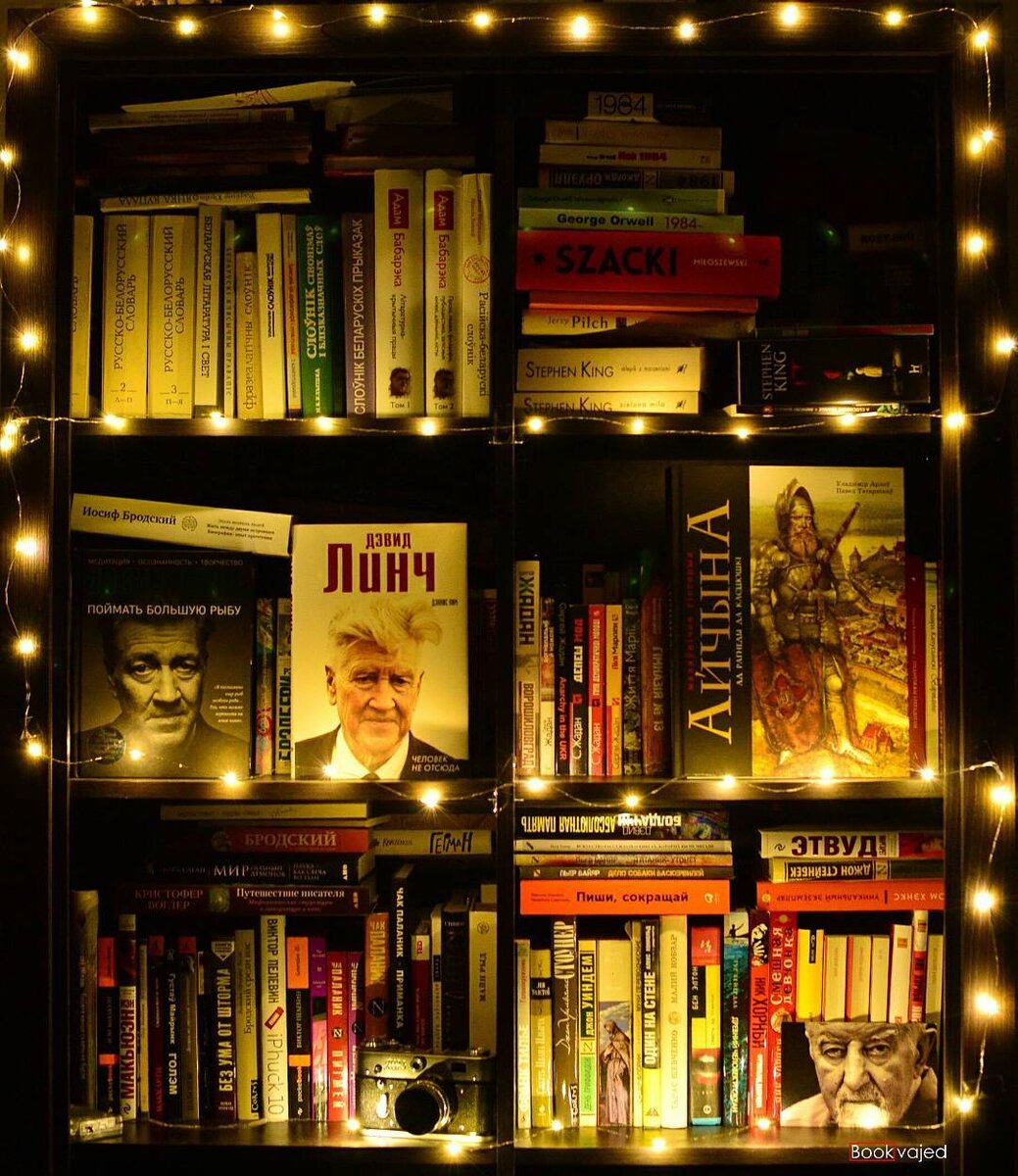 Один из моих книжных шкафов.
