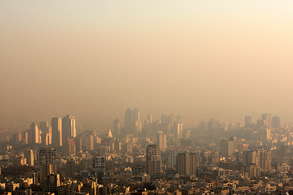 Источник: AP 2019