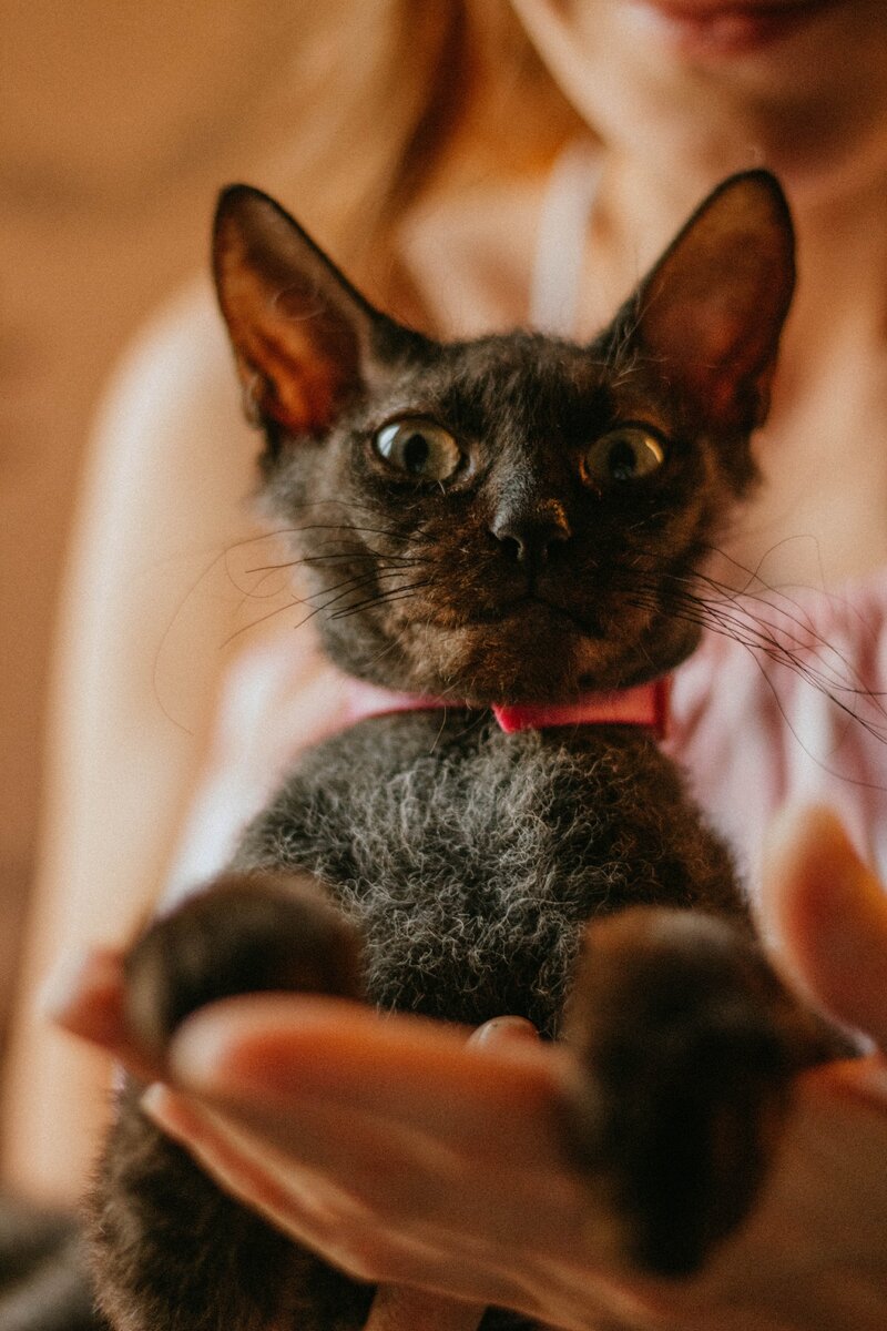 Наша Маленька