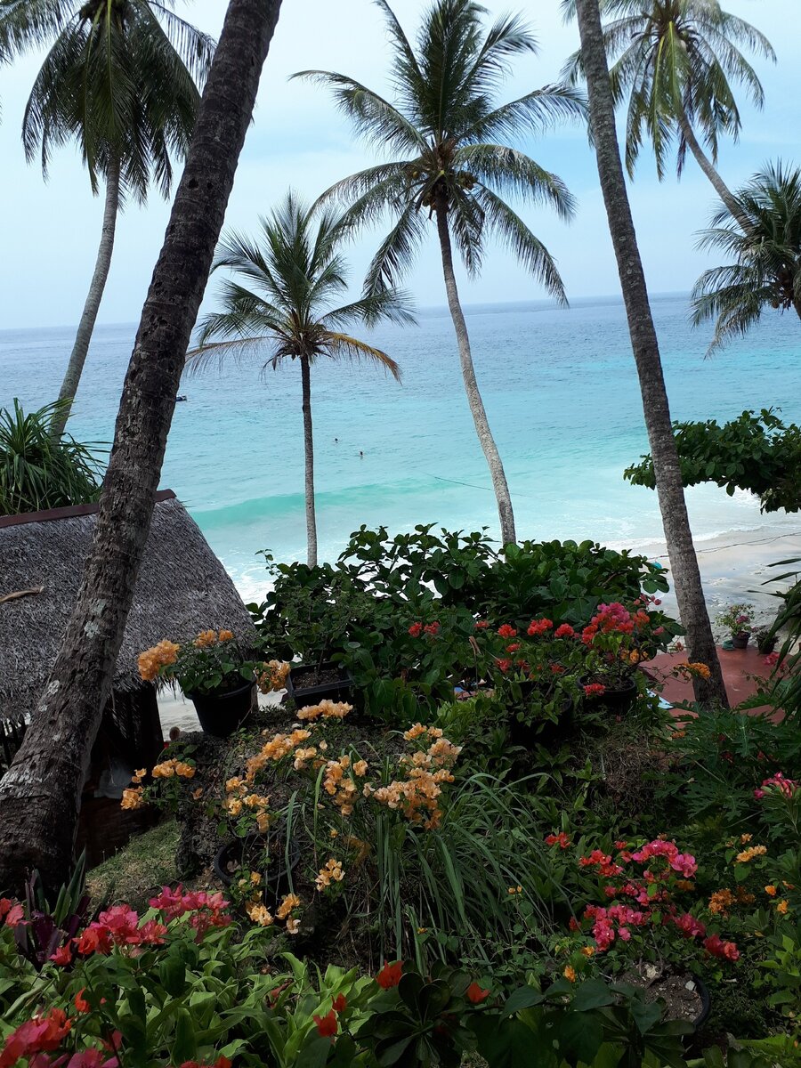 Потрясающие виды