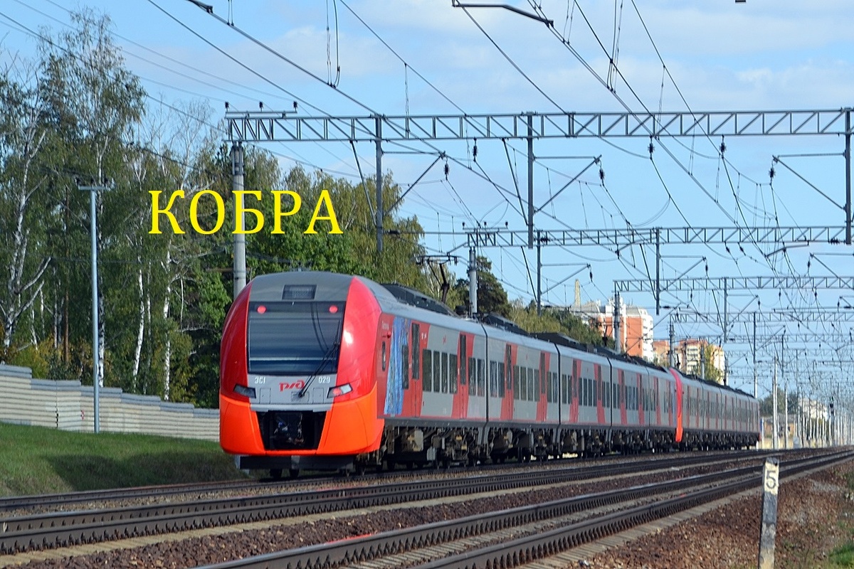 2. Морда немного напоминает раскрытый капюшон, да и название красивое