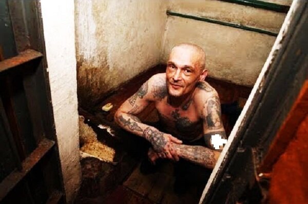 Фото Яндекс картинки.