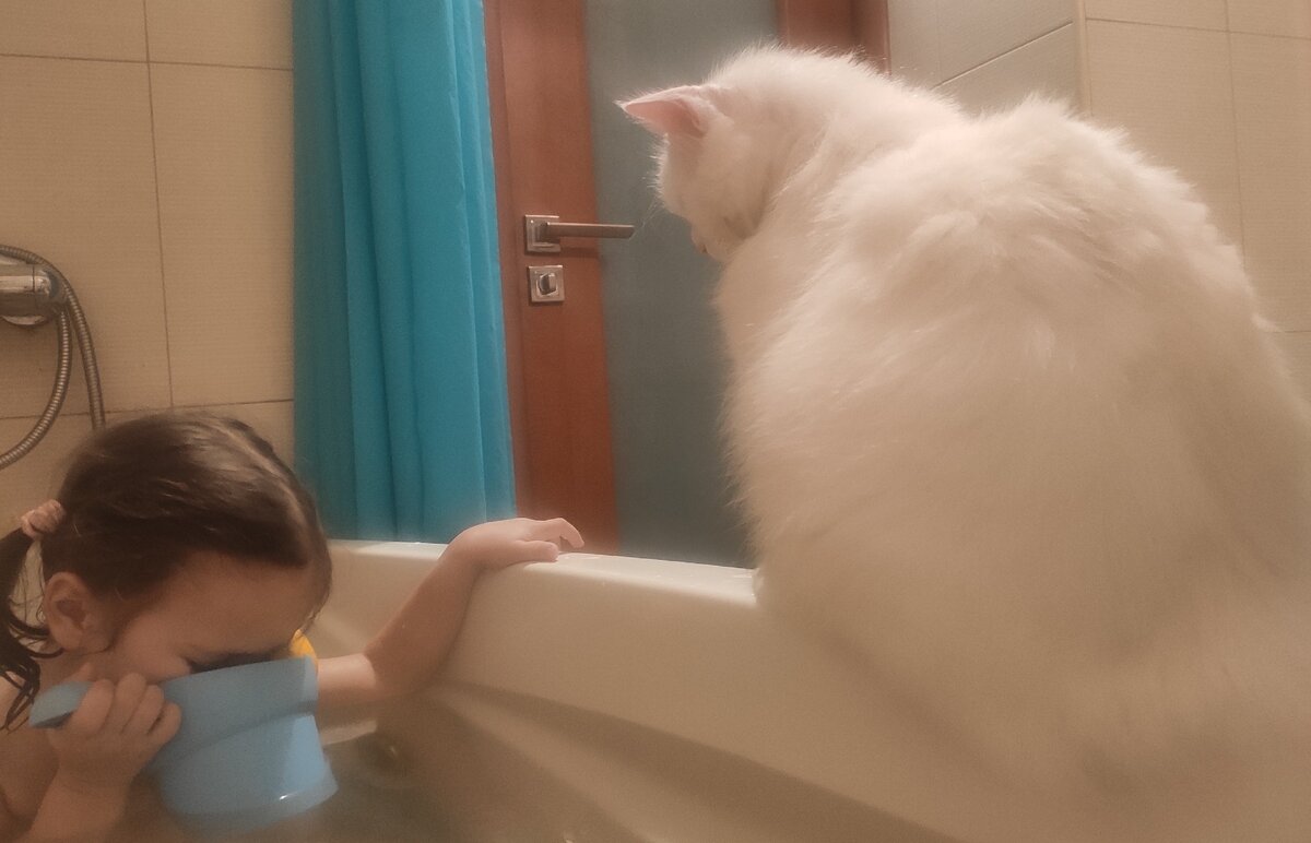 На фото ребенок набирает в рот воды чтобы показать коту как кит делает фонтанчик 