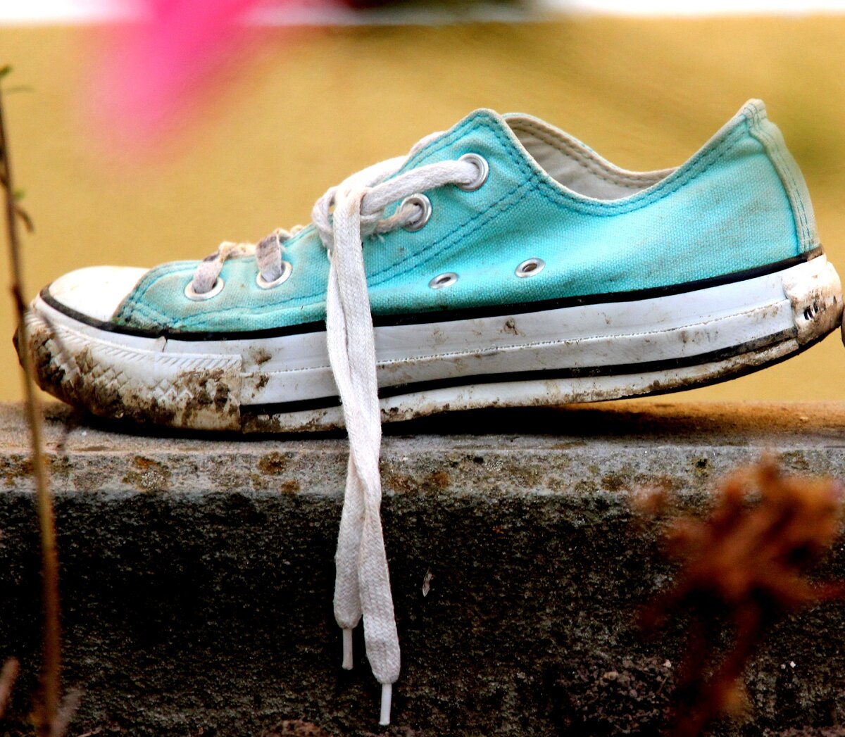 Фото из открытых источников Яндекс.