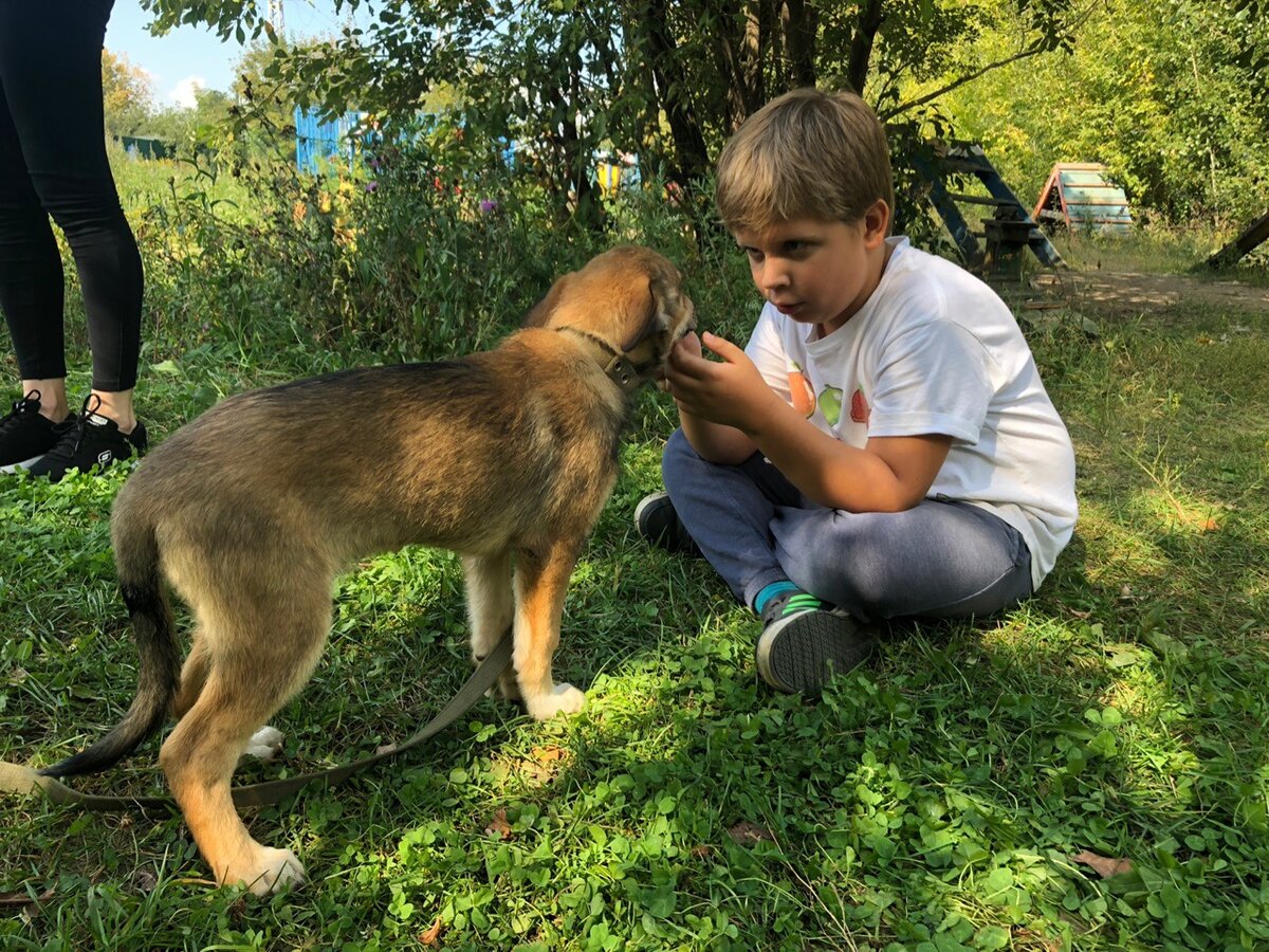 Собачьим детям важно играть и с человеческими детьми
