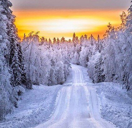 фото яндекс картинки