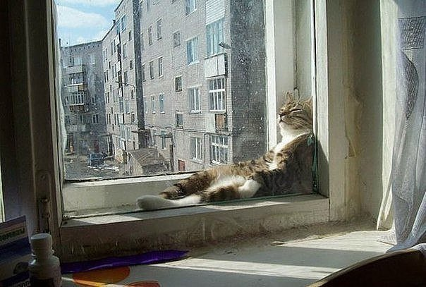 Из открытых источников