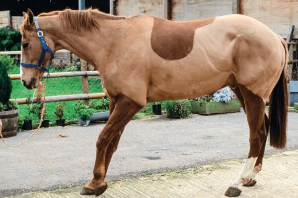 Источник фото сервис Яндекс.Картинки