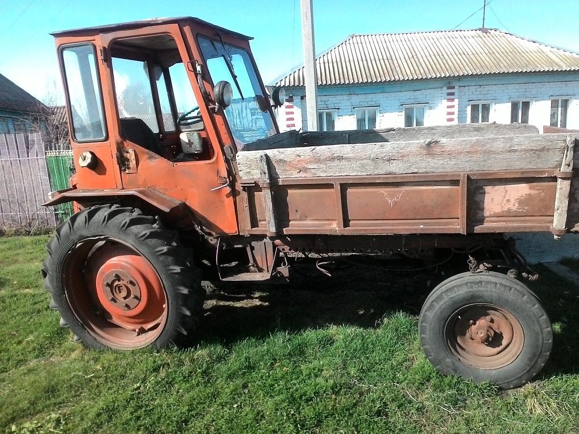 Фото из Яндекс Картинок