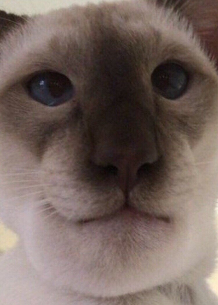 -2-2