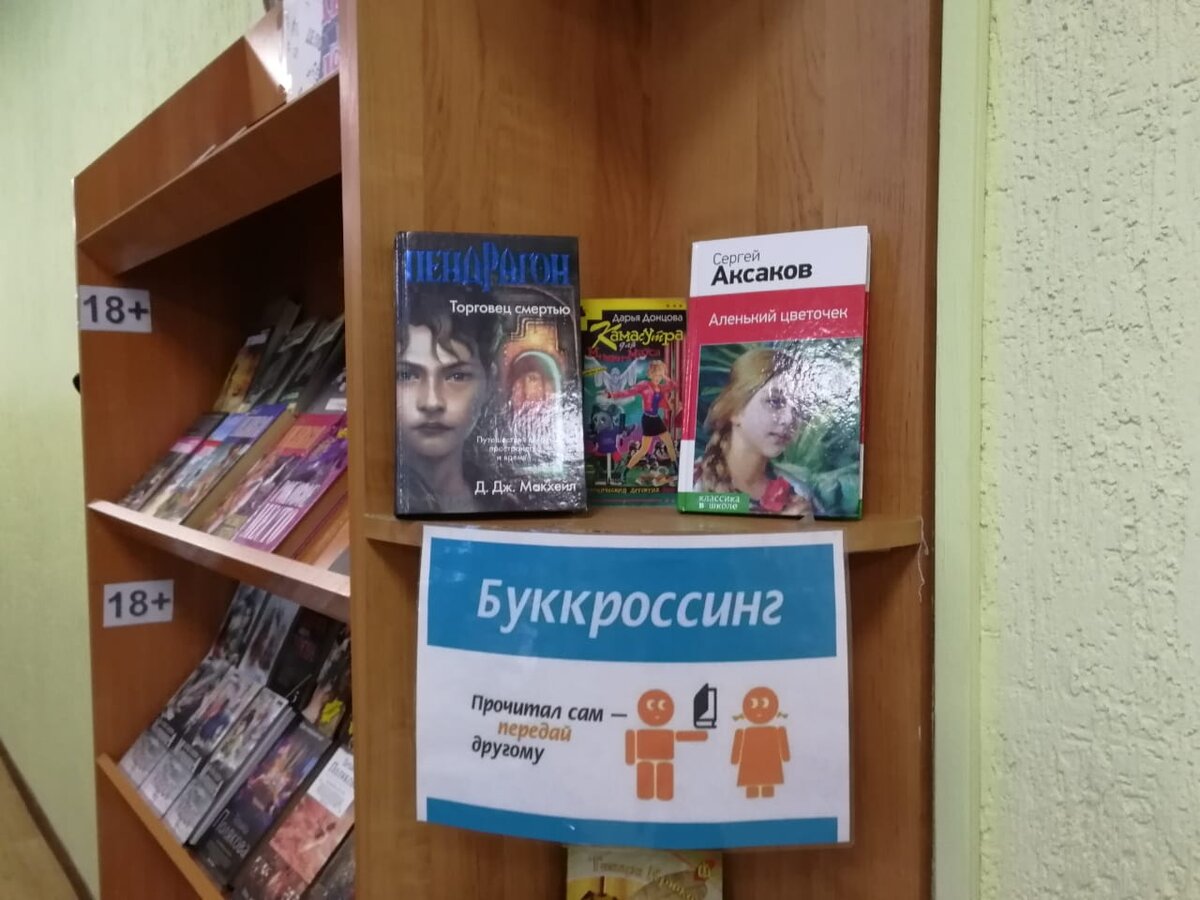 Книги в библиотеку, одежду в храм: куда деть ненужные вещи в Бердске? |  Курьер.Среда | Дзен