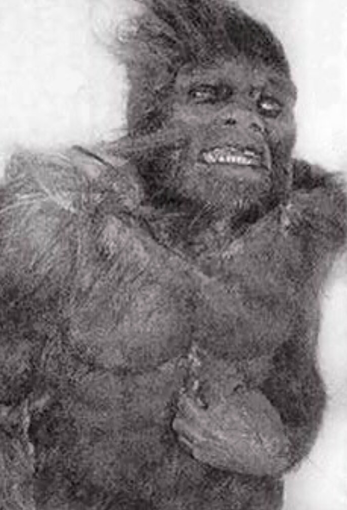 В Мурманске месяц назад нашли тело огромного человека подобного существа!Ученые пока скрывают более подробную информацию. 