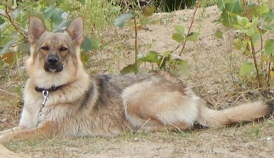 фото из личного архива