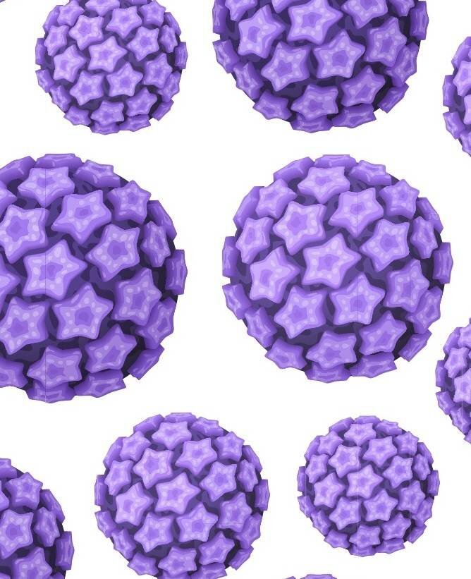 Он является самой распространенной и  высоконтагиозной вирусной инфекцией