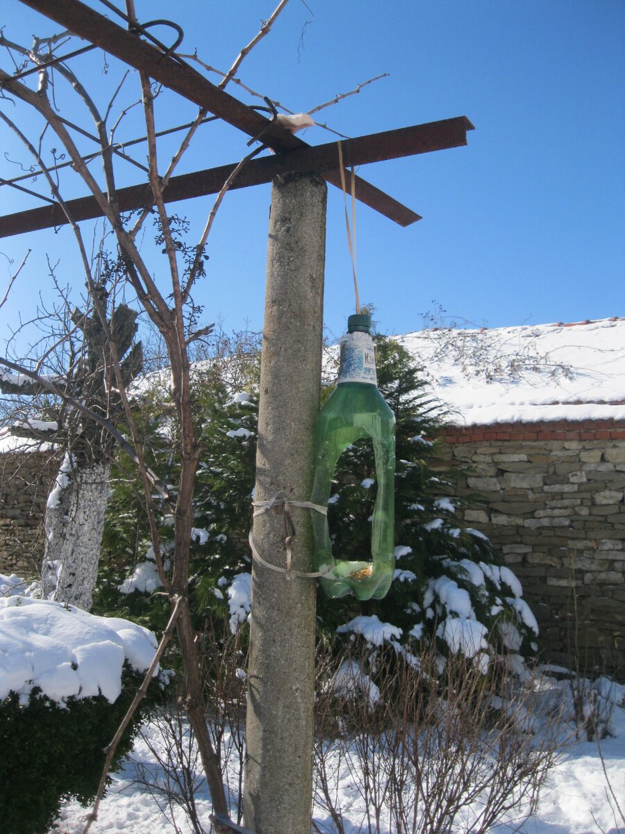 Кормушка для птиц.