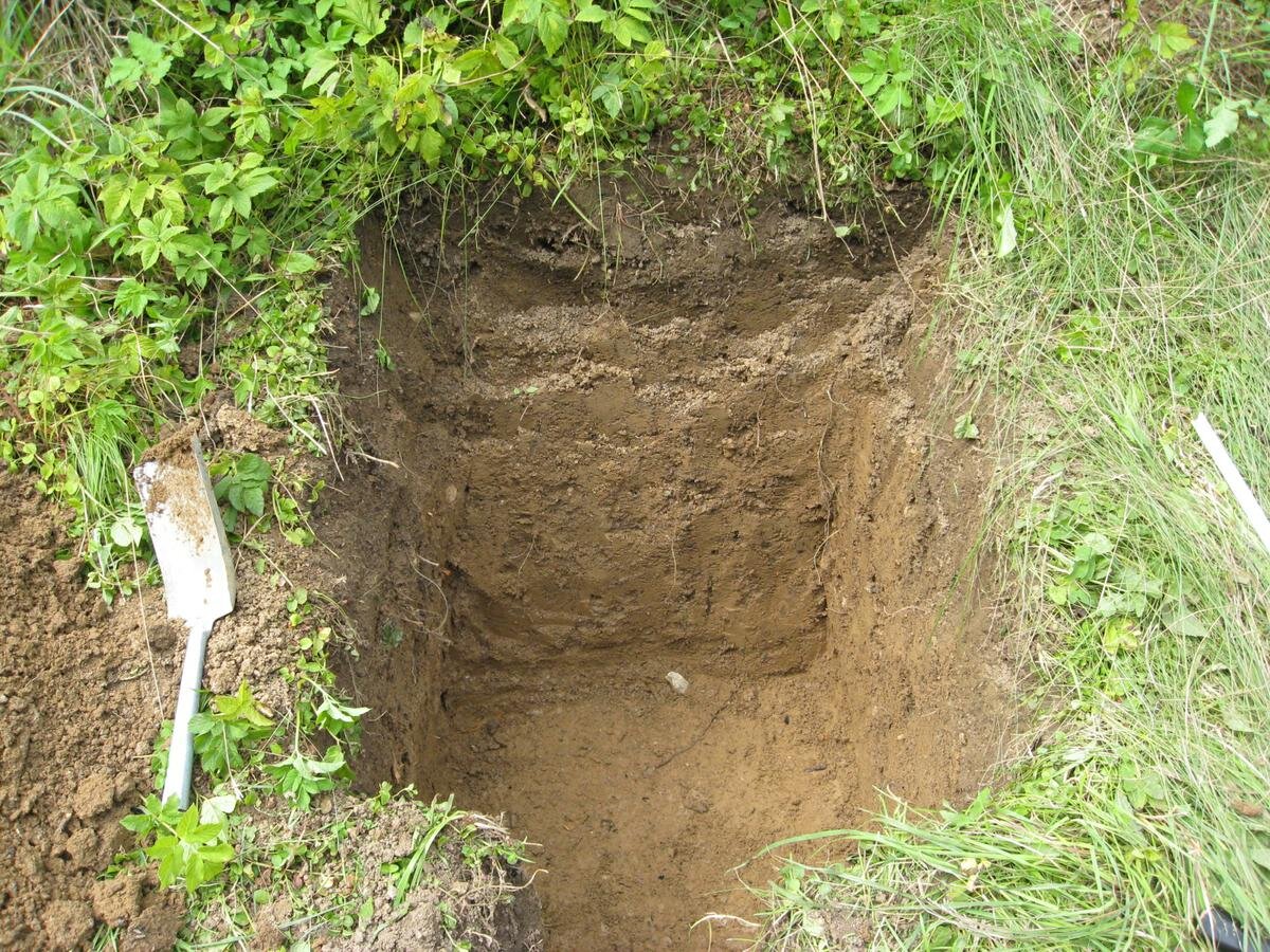 Источник - яндекс картинки