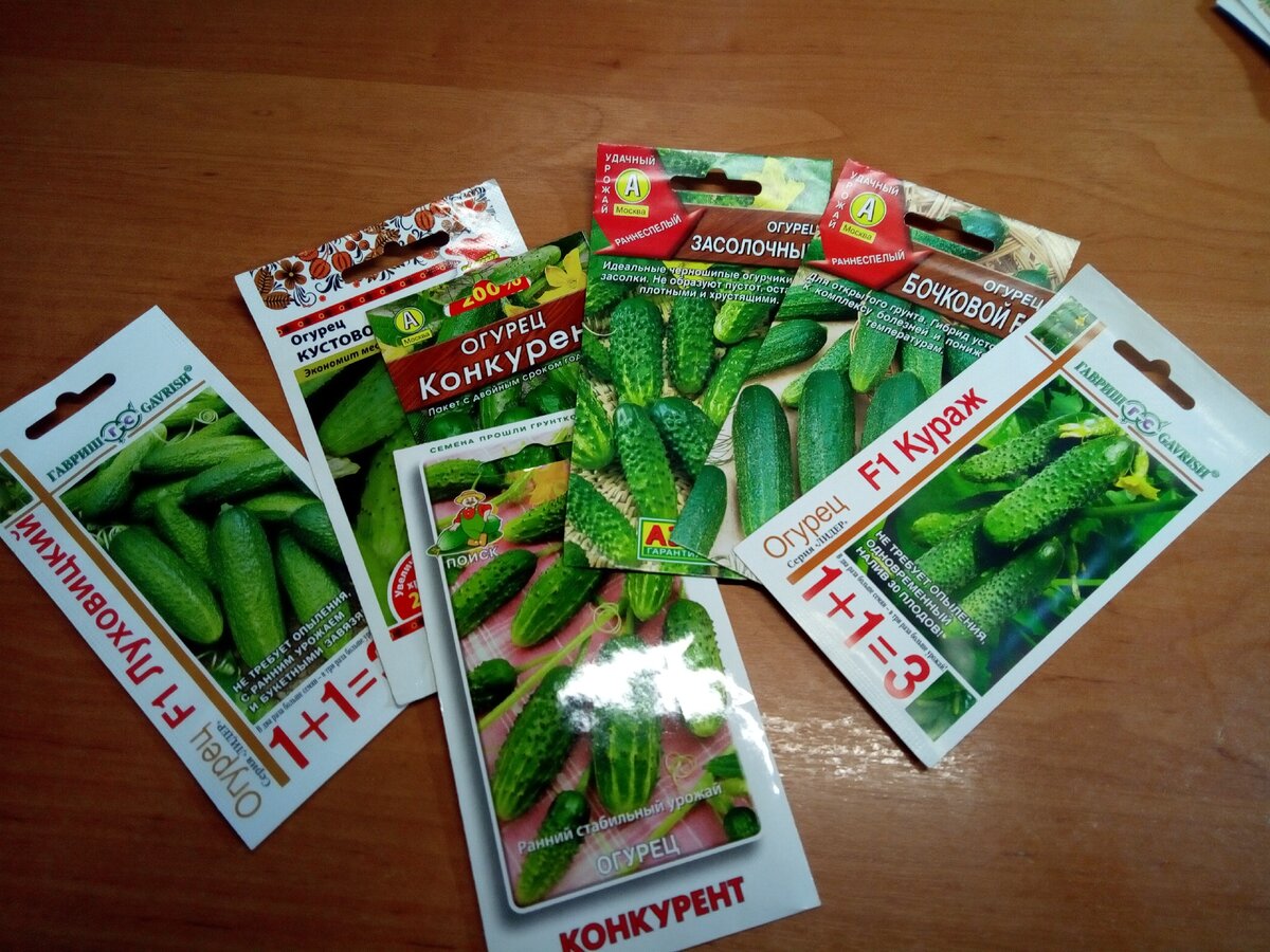 шесть соток для садоводов магазин. 6 соток, калининград, улица юрия гагарина, 32. 6 соток семена. ооо урожай 6 соток семена. огурец спино описание сорта фото.