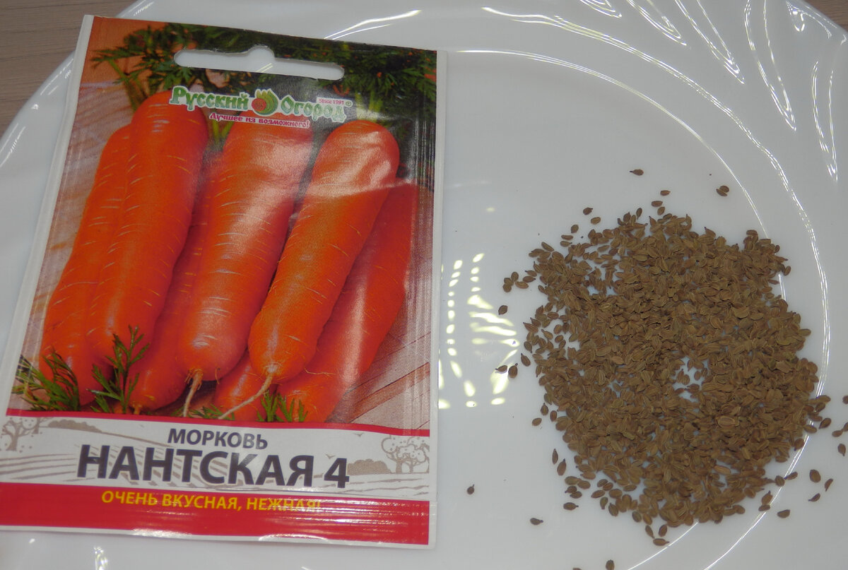 В ФиксПрайс завезли семена по 7-8 рублей. Открываю пакетики и начинаю проверку на всхожесть
