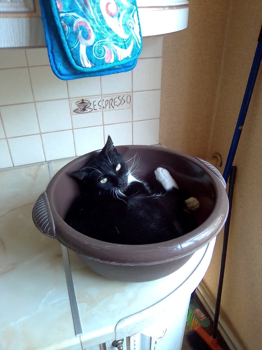 Фото от автора.