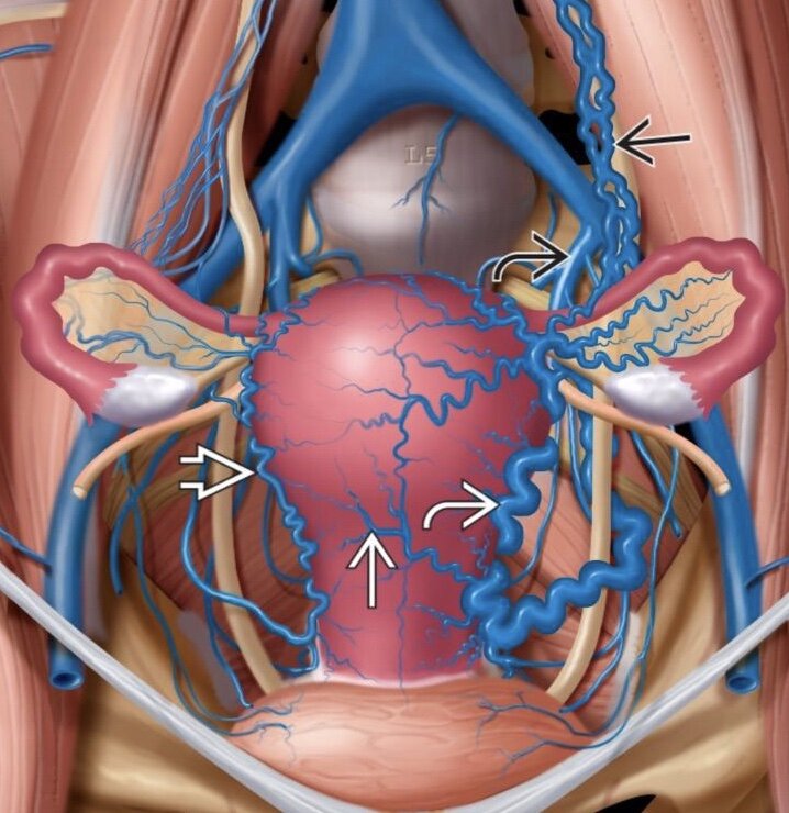 Источник изображения: Яндекс. Картинки