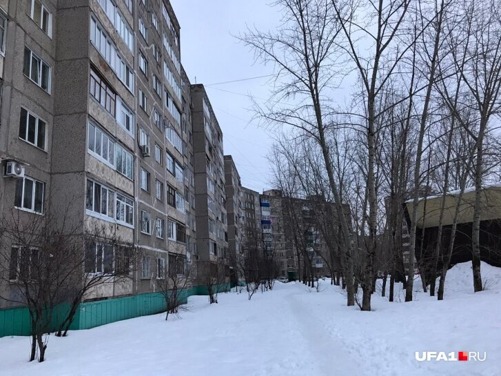 Фиуза иногда разговаривала с Татьяной, встречая ее во дворе