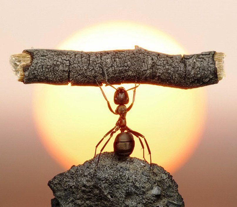 Фото Яндекс картинки. 