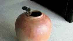 Изображение представлено в рамках свободного цитирования