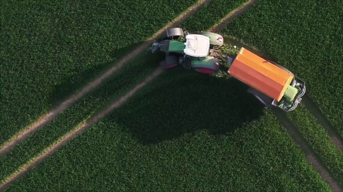 Источник фото: bookjuices.com