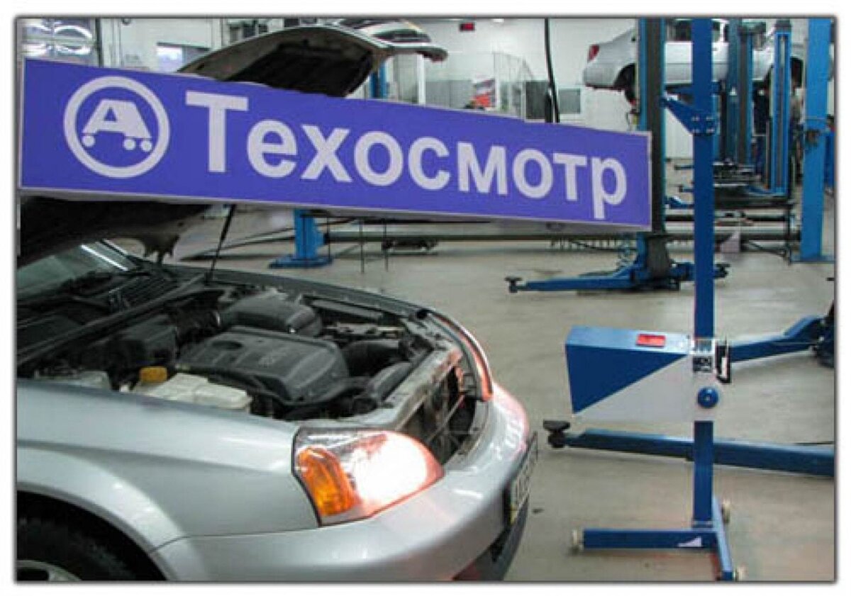 Фото из сети