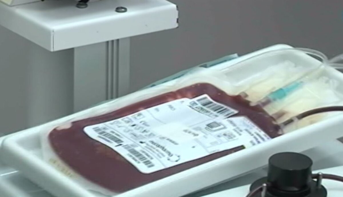 Банки крови для кошек. Банк крови. Автоматический комплекс генотестирования донорской крови.