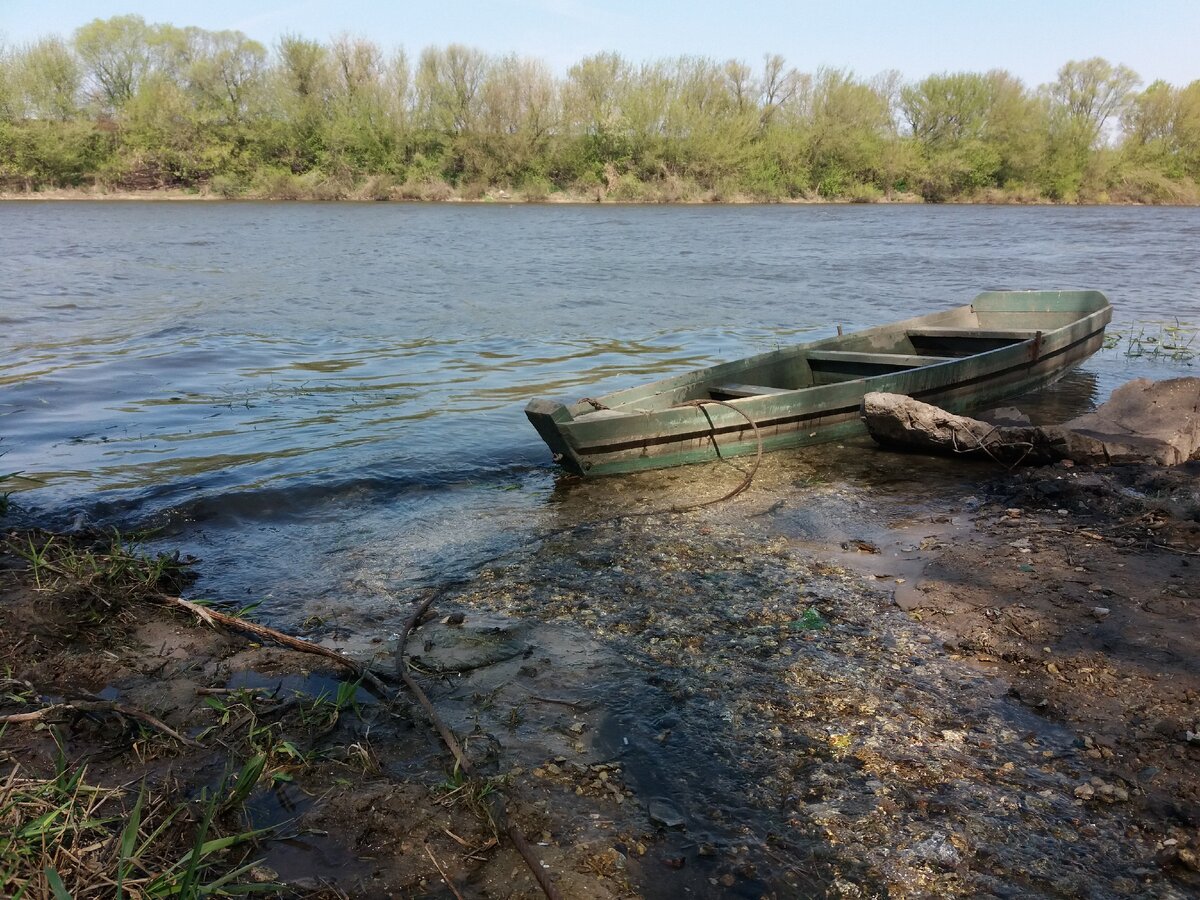 Впадение ручья в Дон. Из личного архива.