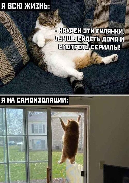 Источник: https://pin.it/5lmRU8L