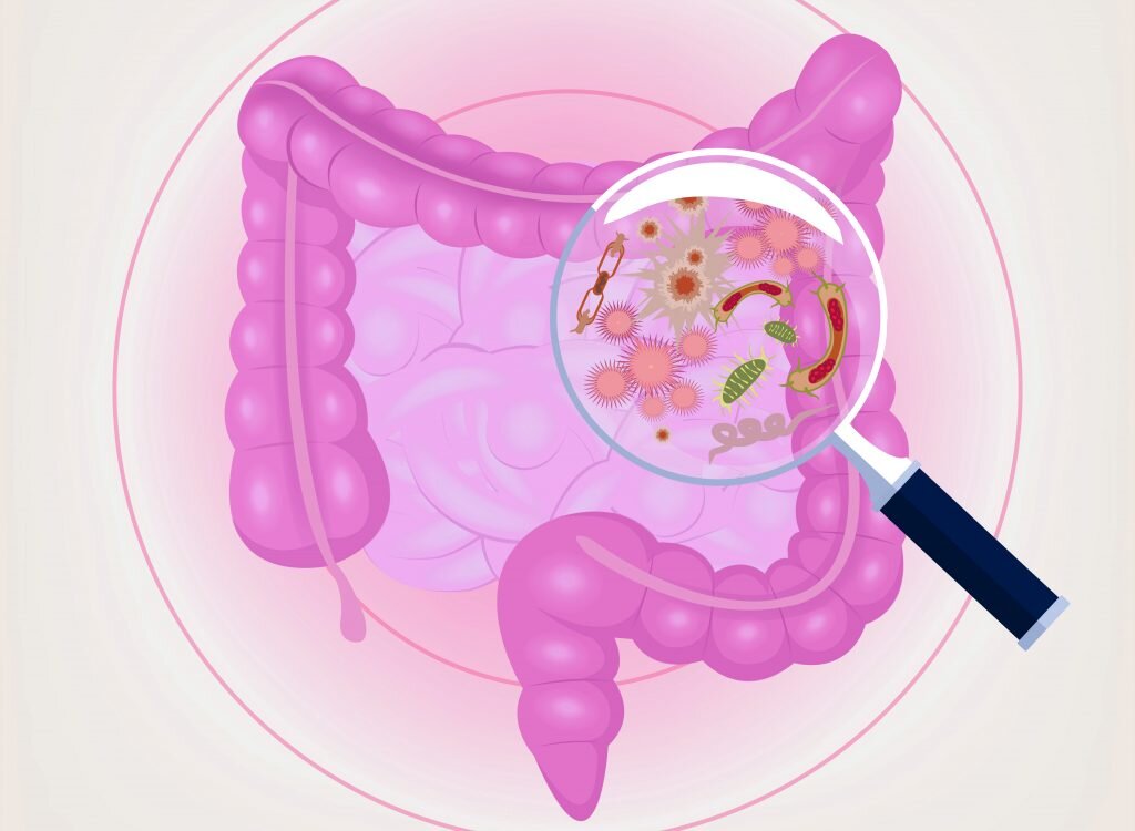 Какие продукты полезны для микрофлоры кишечника?