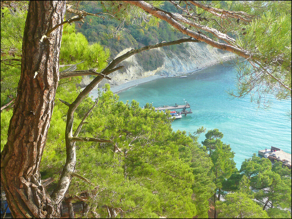 взято из открытых источников в Интернете 