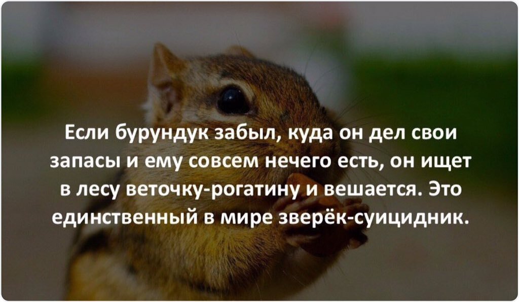 Фото из Яндекс.картинок