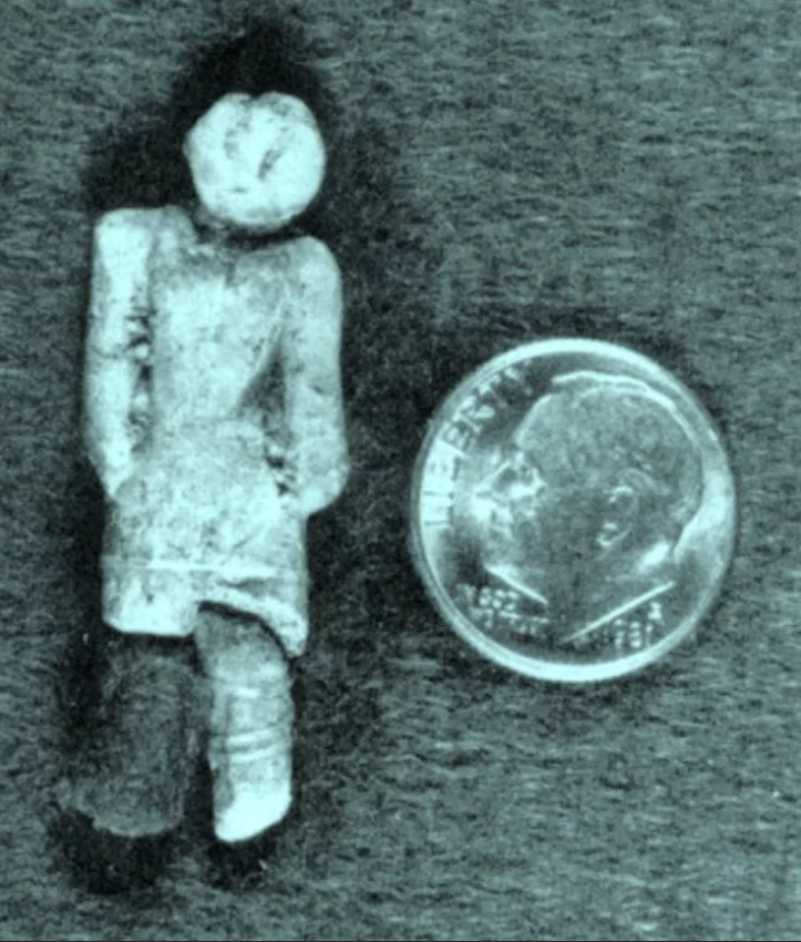 Фото из открытых источников